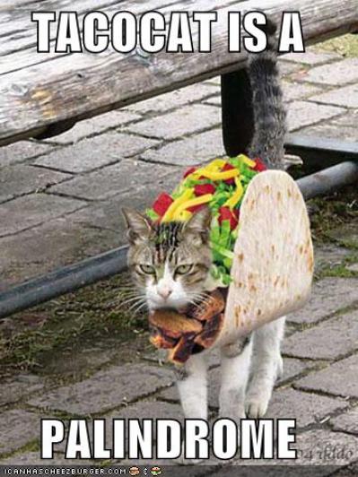 Tacocat is a Palindrome