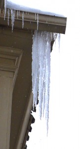 deathcicles Approaching a couple of feet long. Don't stand under our house!