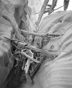 slot_canyon_log_jam Log jams high up on the canyon wall show just how much you wouldn't want to be around here when it rains.