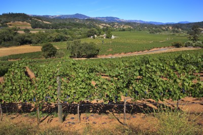 The view from Bella.